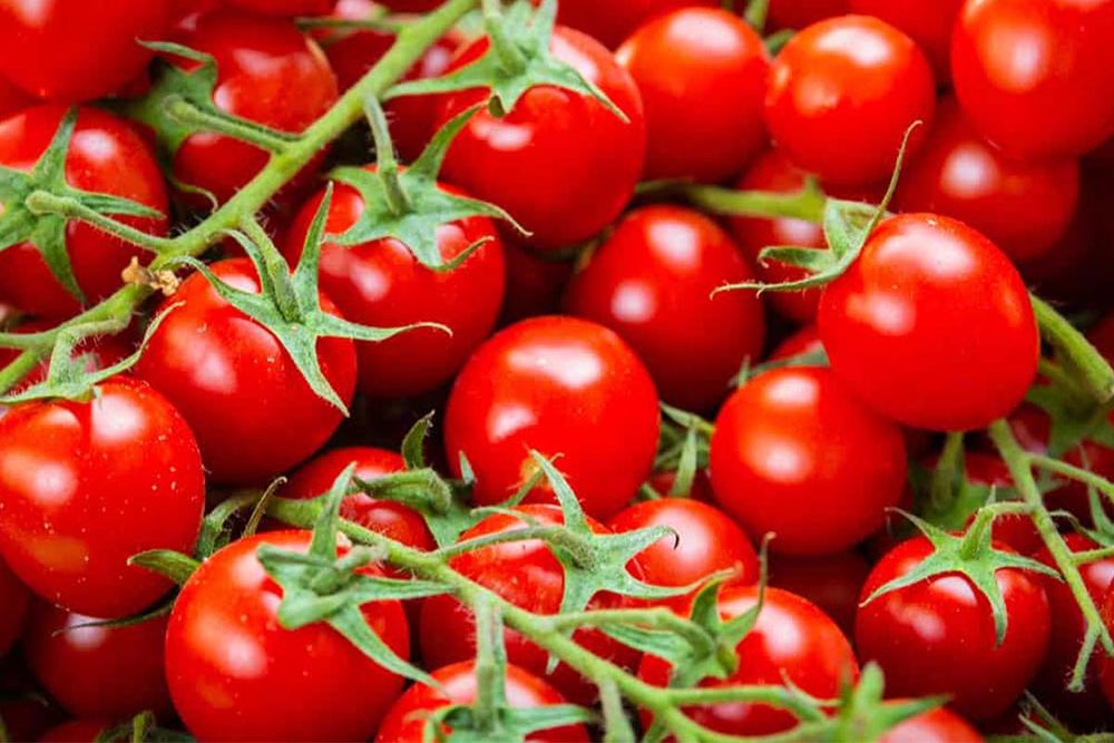 Cherry Tomato