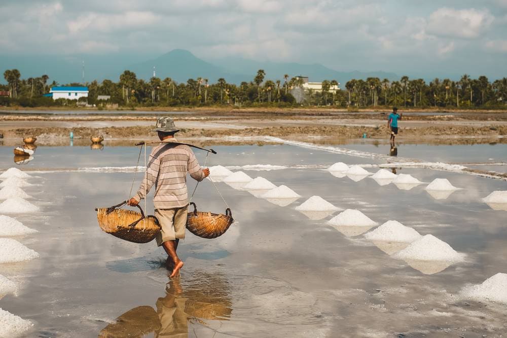 Kampot salt