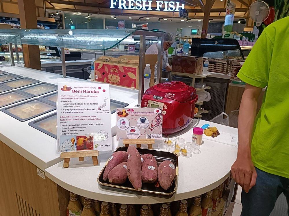 We Held a Tasting Event for Japanese Sweet Potato “Beniharuka” at AEON 1 in Phnom Penh!